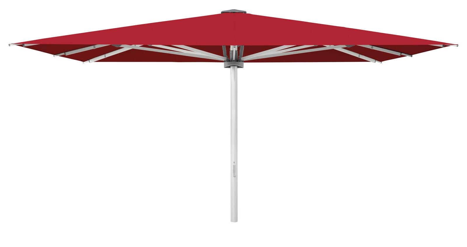 Palazzo Style 350x300cm m/frisekant