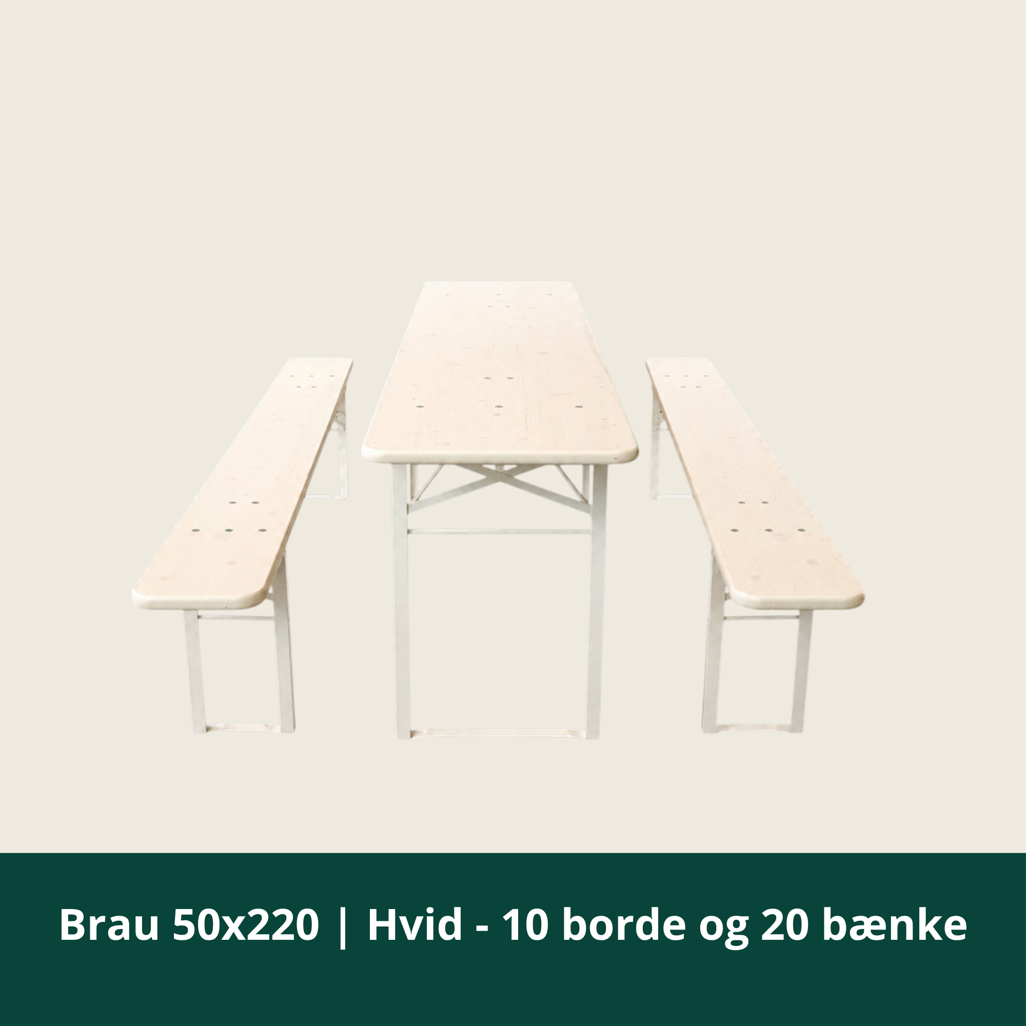 Brau 50x220 | Hvid - 10 borde og 20 bænk